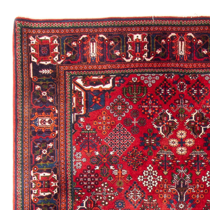 Shiraz Tapete 280x168cm - Tapete persa