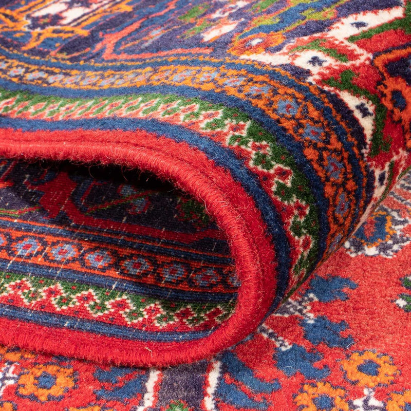 Shiraz Tapete 280x168cm - Tapete persa