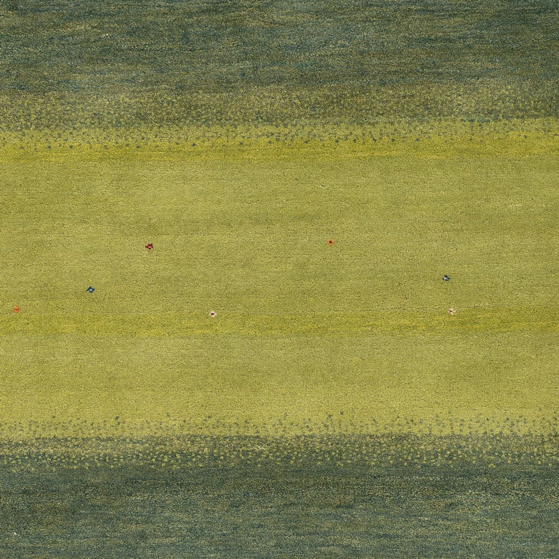 Loribaft Indo Tapete 240x170cm - Tapete de lã