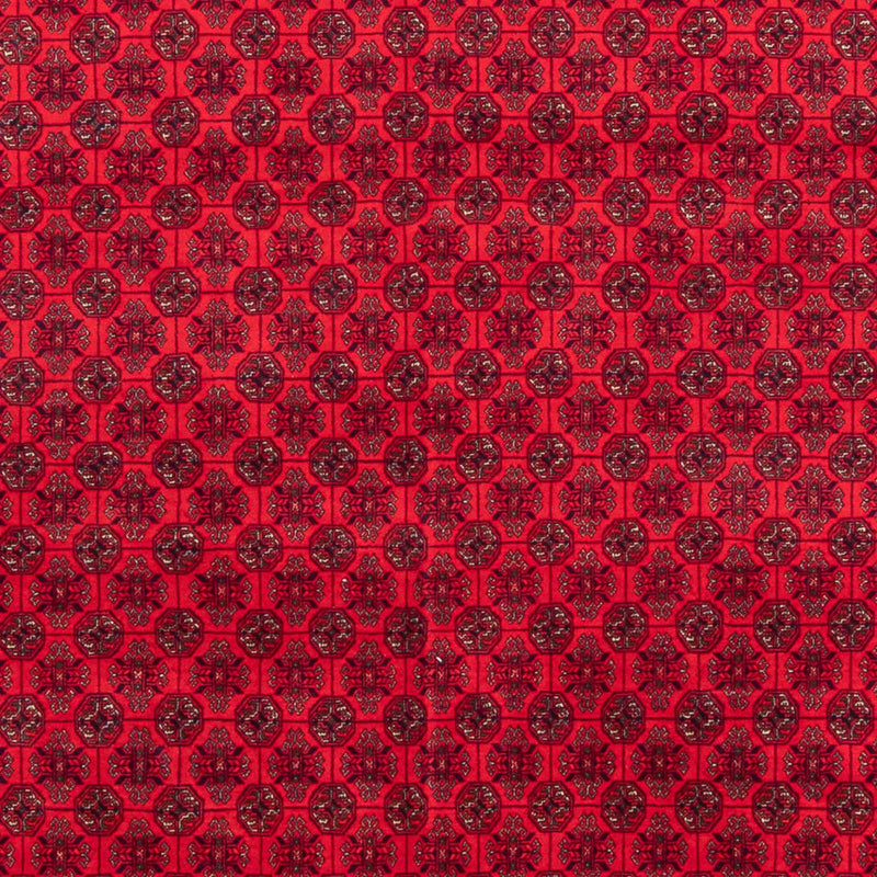 Tapete afegão 295x194cm - Tapete Oriental