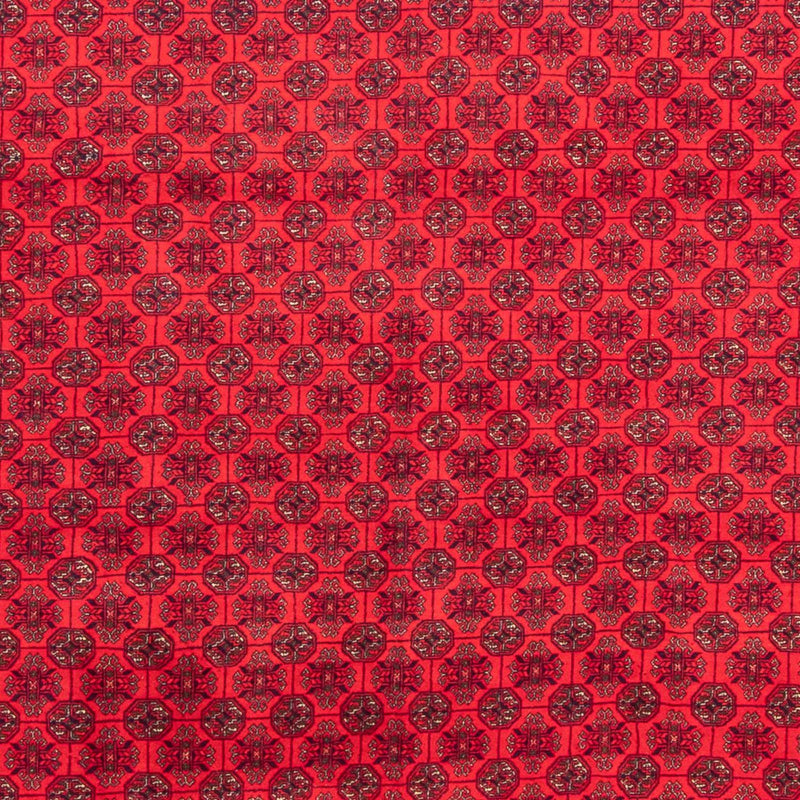 Tapete afegão 289x200cm - Tapete Oriental
