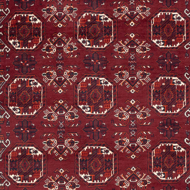 Bukhara Tapete 290x201cm - Tapete Oriental