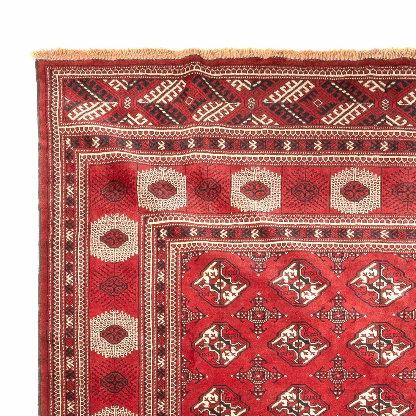 Tapete turquaman 391x270cm - Tapete persa