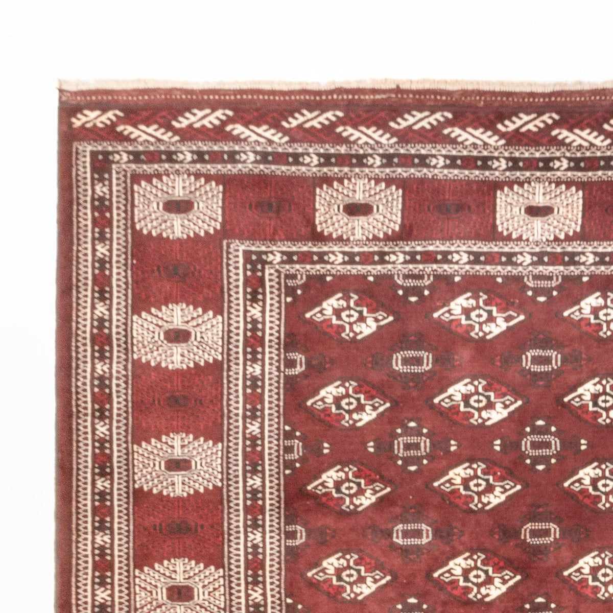 Tapete turquaman 260x380cm - Tapete persa