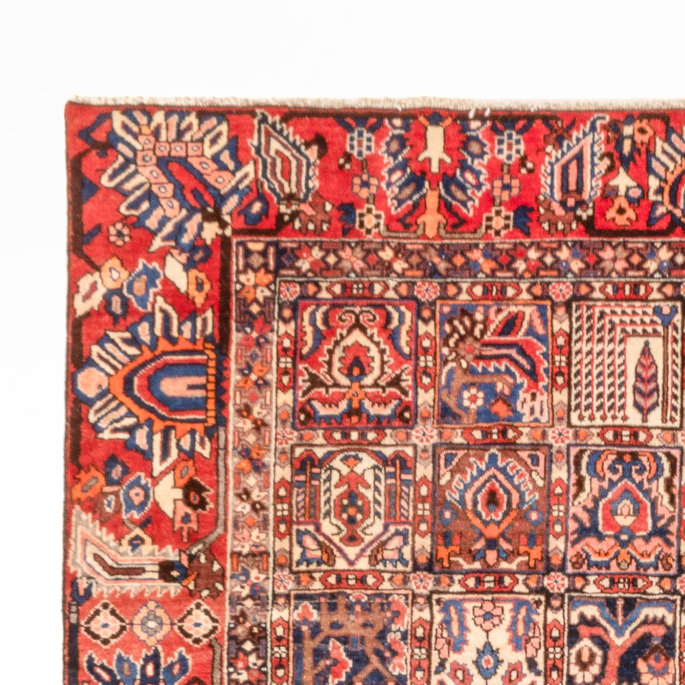 Bakhtiari Tapete 340x250cm - Tapete persa