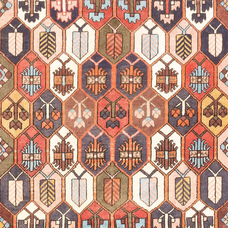 Bakhtiari Tapete 305x215cm - Tapete persa