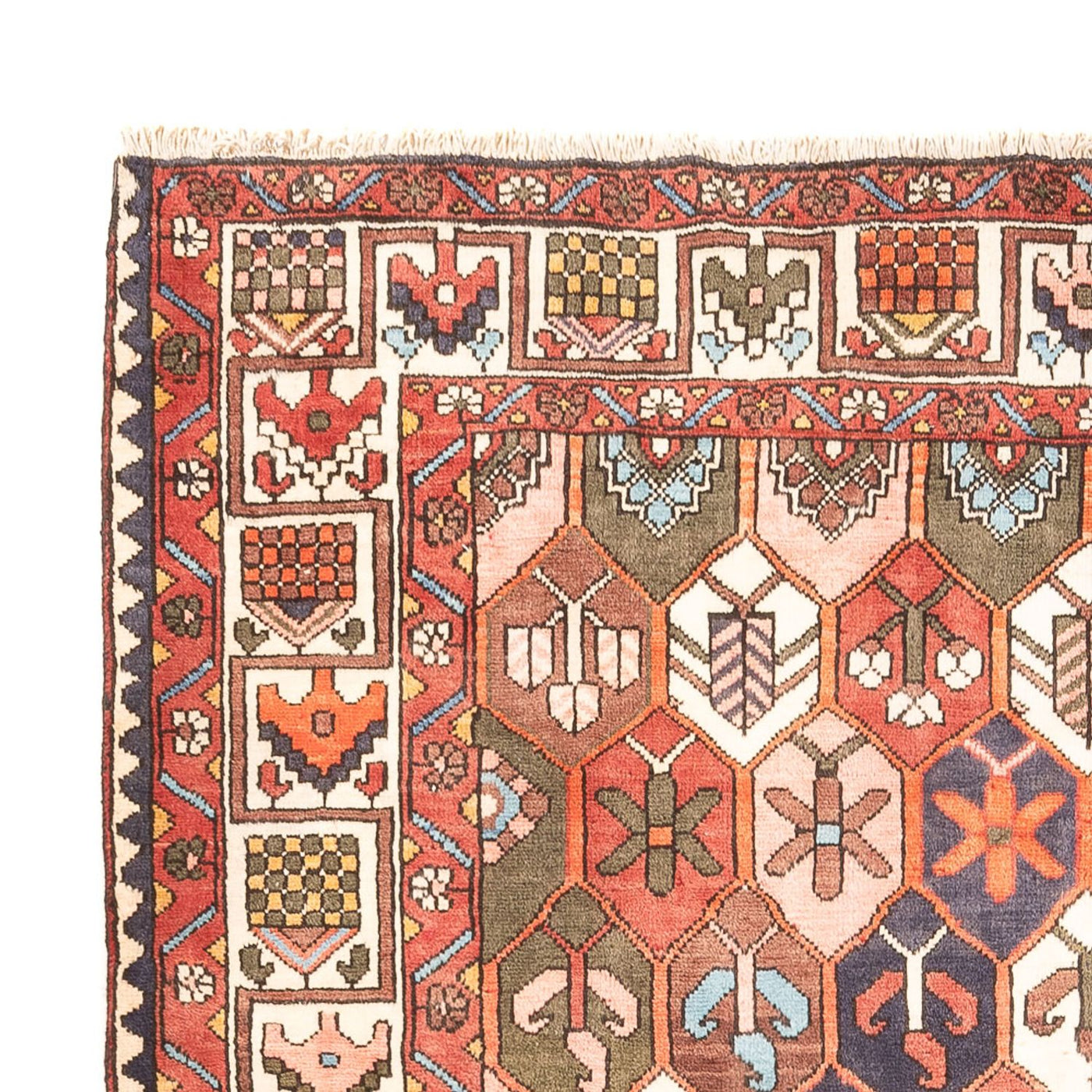 Bakhtiari Tapete 305x215cm - Tapete persa