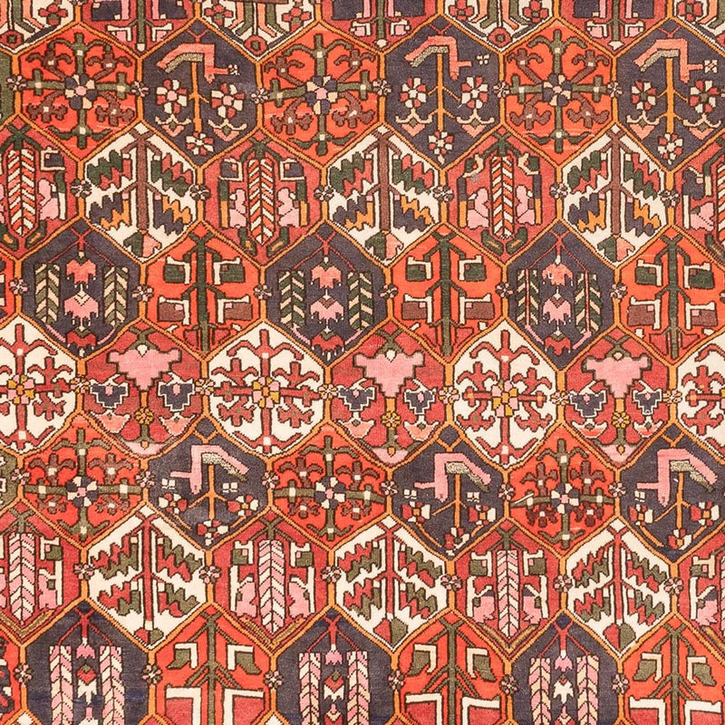 Bakhtiari Tapete 310x210cm - Tapete persa