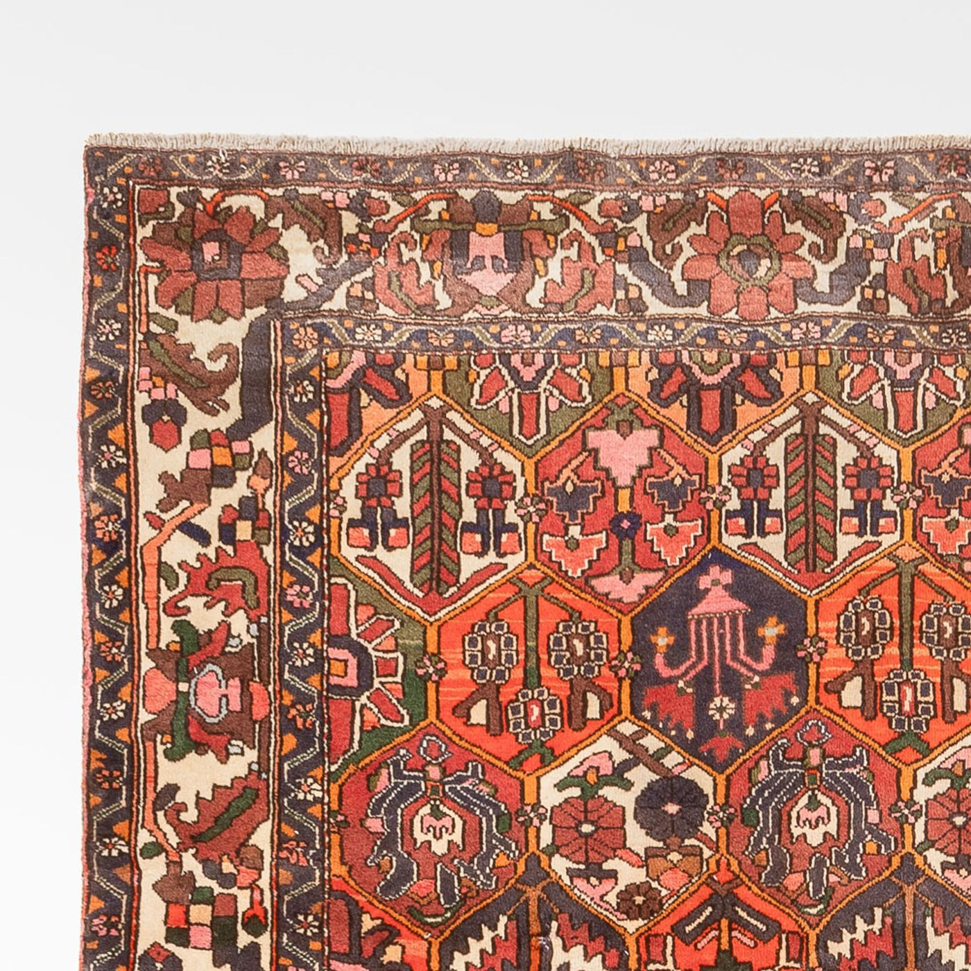 Bakhtiari Tapete 310x210cm - Tapete persa
