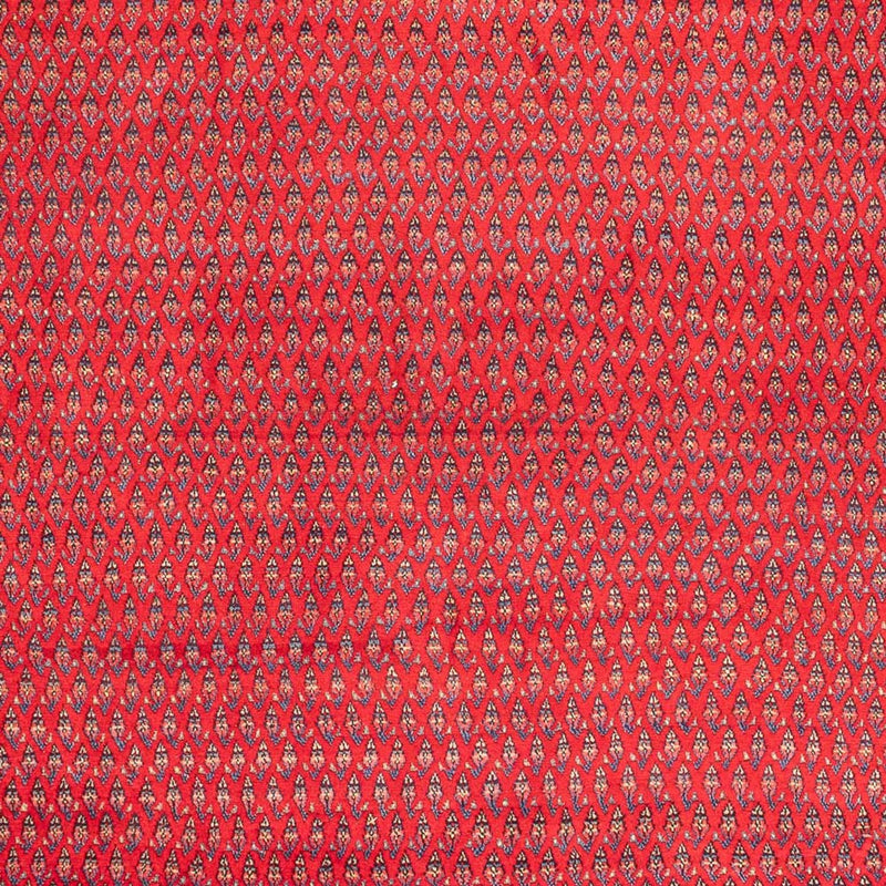 Mir Tapete 320x217cm - Tapete persa