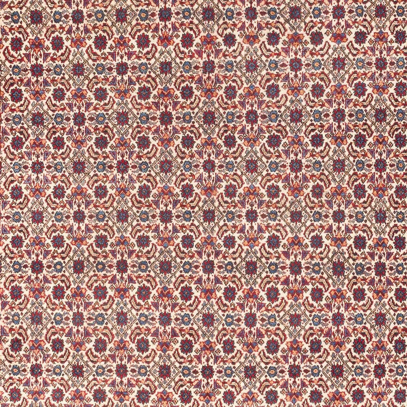Moud Tapete 307x195cm - Tapete persa