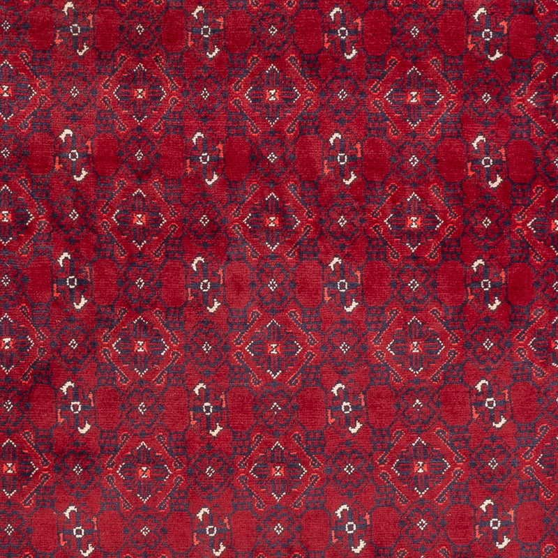 Bukhara Tapete 281x193cm - Tapete Oriental