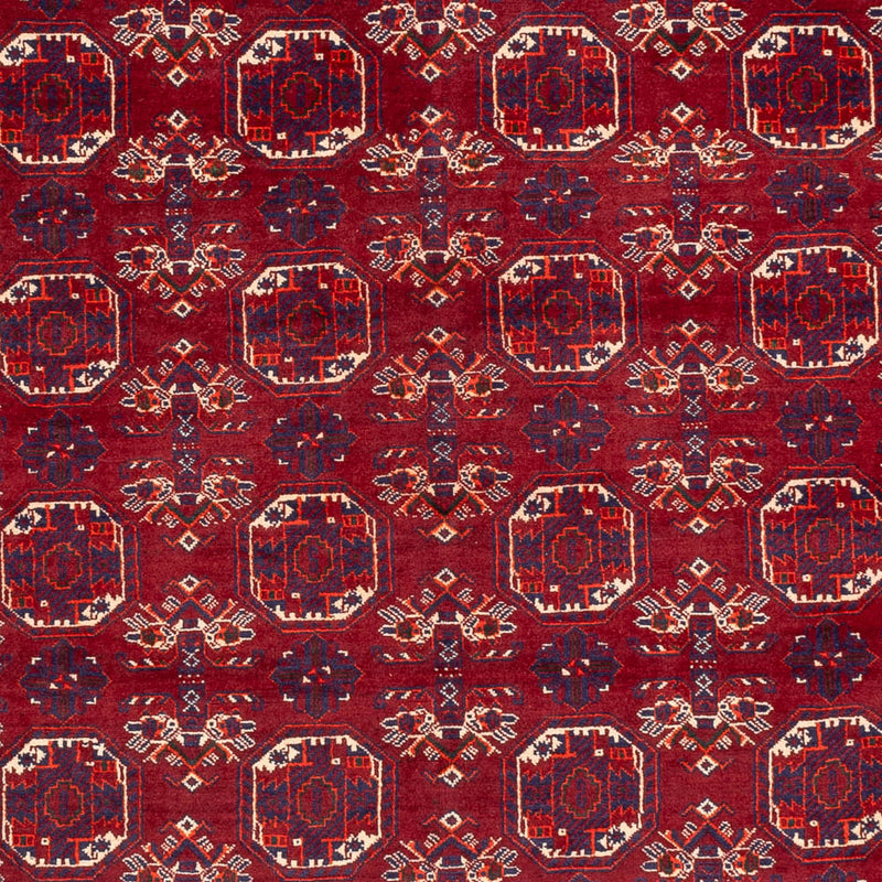 Bukhara Tapete 283x198cm - Tapete Oriental