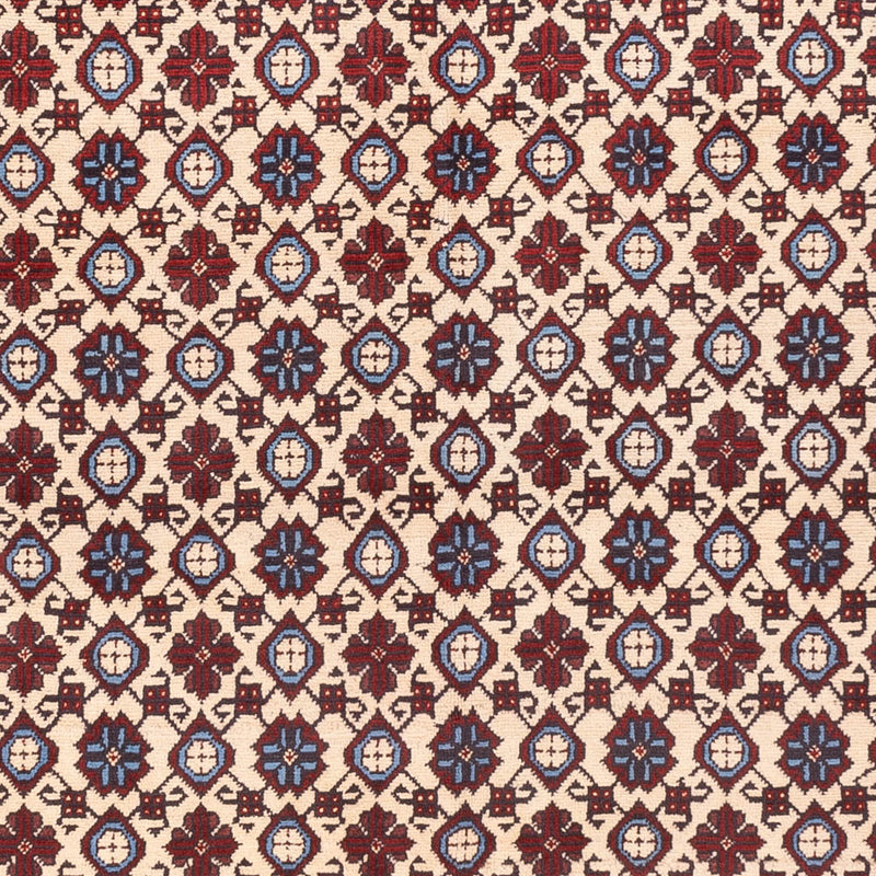 Tapete afegão 281x194cm - Tapete Oriental