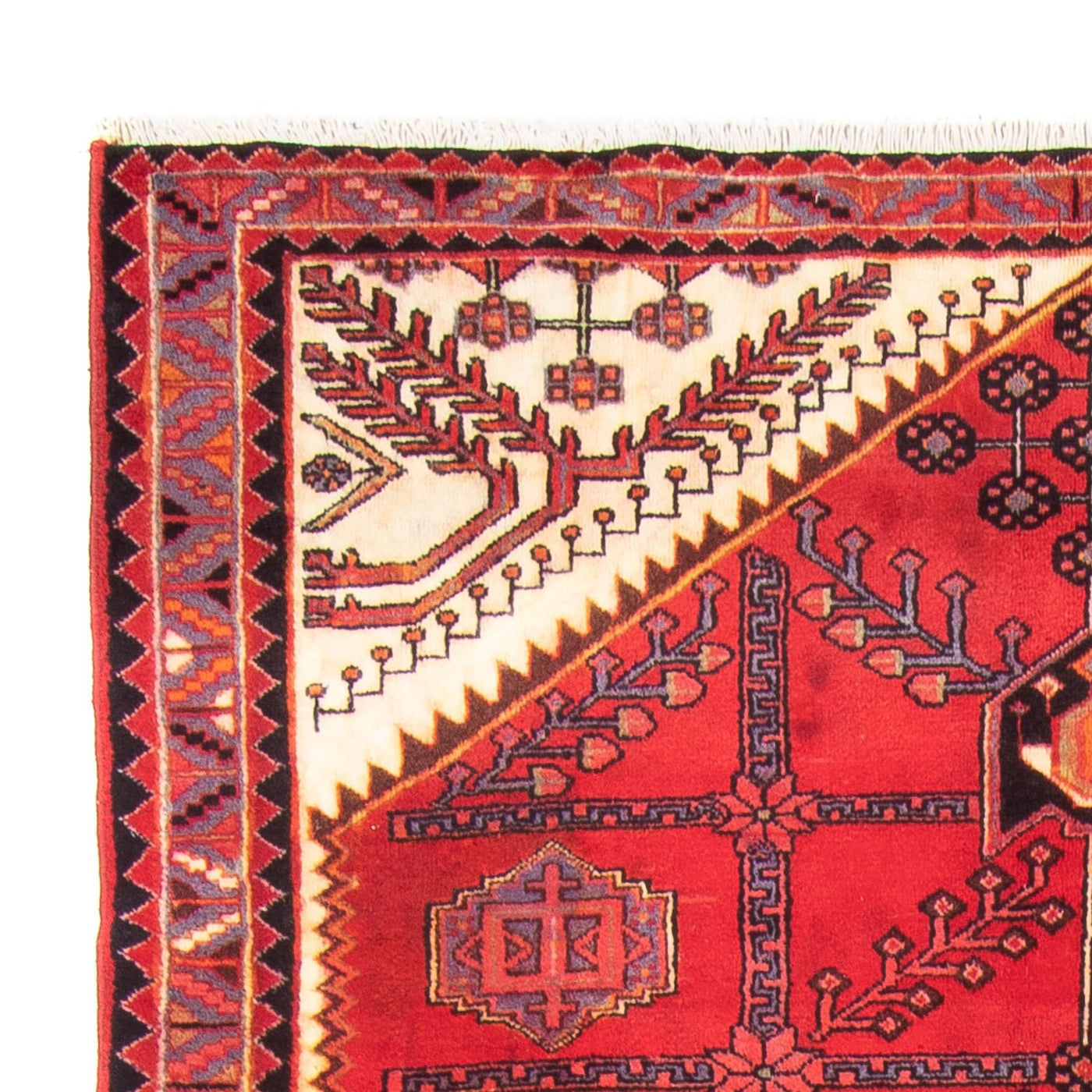 Hosseinabad Tapete 317x156cm - Tapete persa