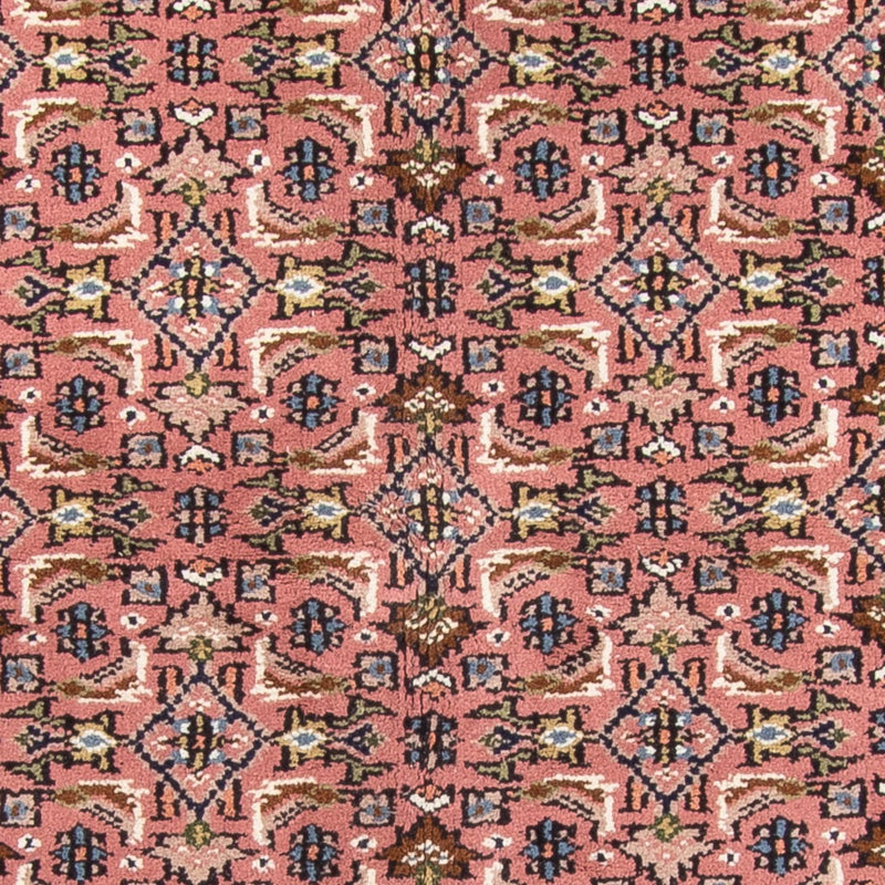 Bidjar Indo Tapete 240x170cm - Tapete Oriental
