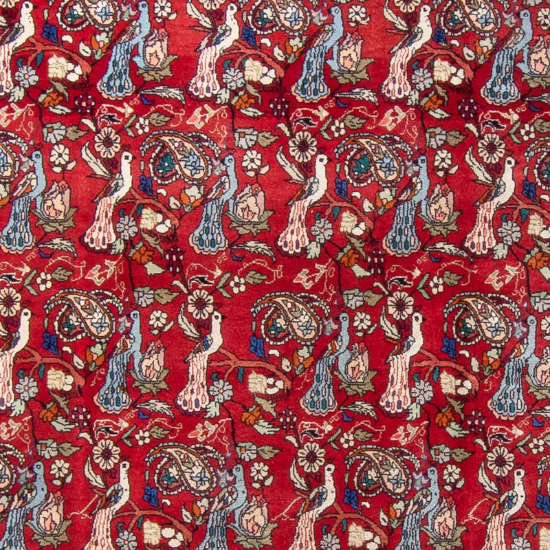 Bidjar Tapete 280x180cm - Tapete persa