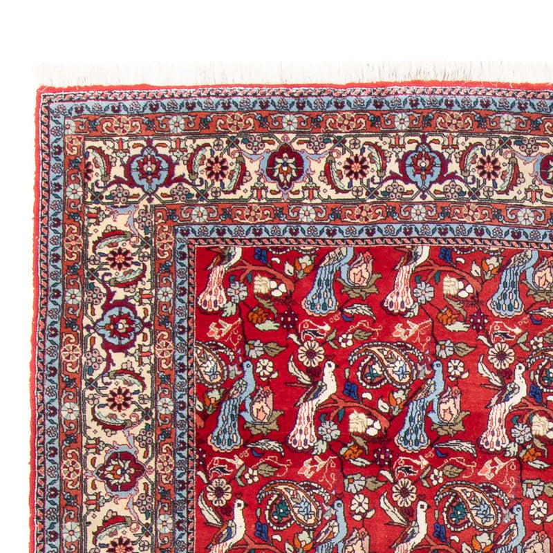 Bidjar Tapete 280x180cm - Tapete persa