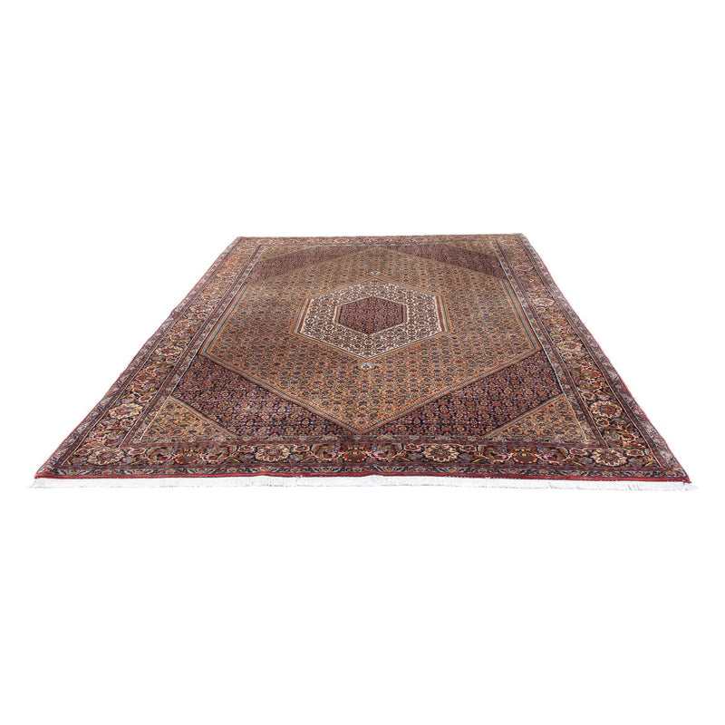 Bidjar Tapete 305x210cm - Tapete persa