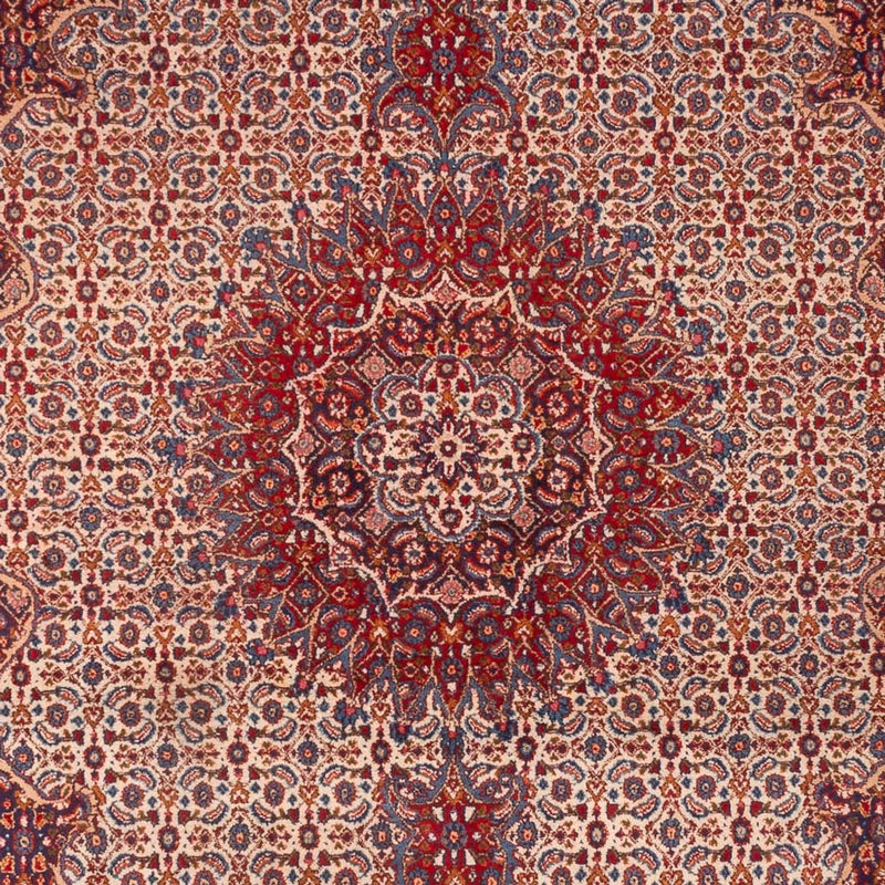 Moud Tapete 210x303cm - Tapete persa