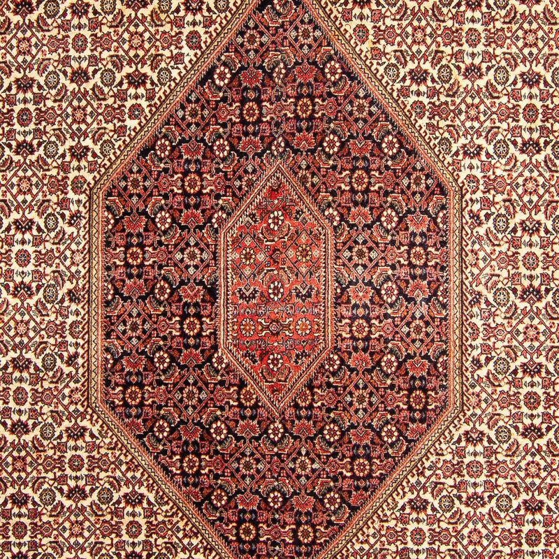 Bidjar Tapete 312x172cm - Tapete persa