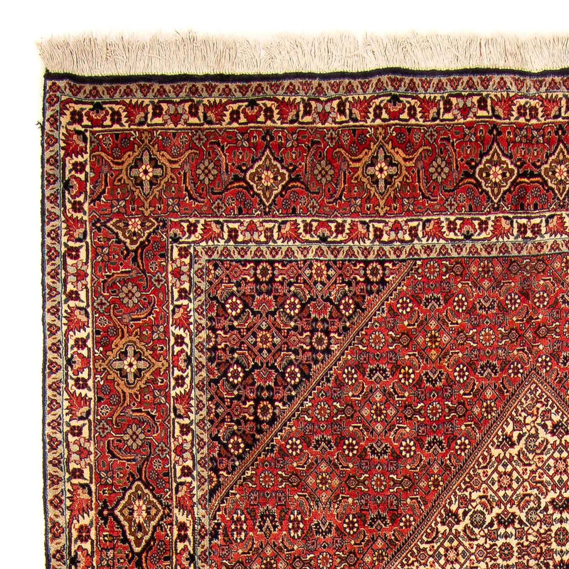 Bidjar Tapete 312x172cm - Tapete persa