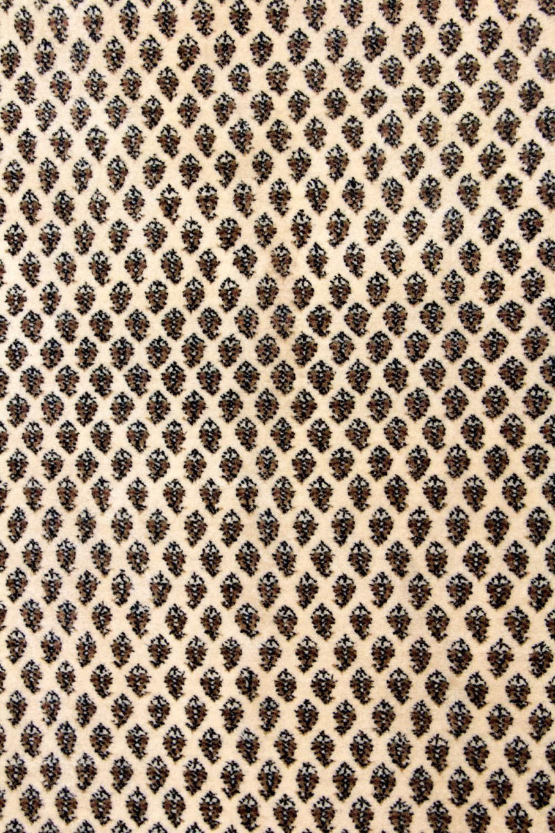 Mir Tapete 244x170cm - Tapete persa