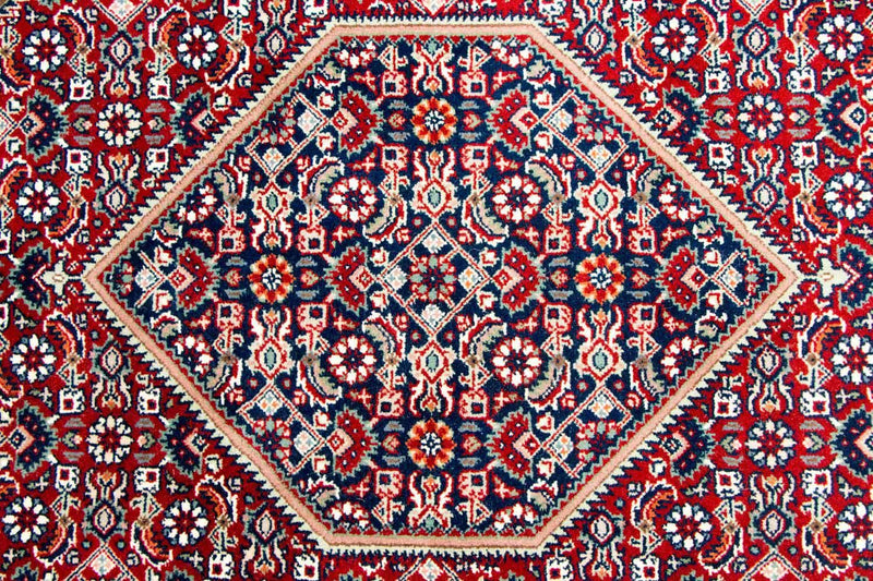 Bidjar Tapete 250x351cm - Tapete Oriental