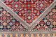 Bidjar Tapete - Tapete Oriental