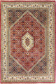 Bidjar Tapete - Tapete Oriental
