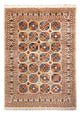 Ariana Tapete 175x247cm - Tapete Oriental
