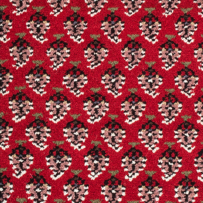 Mir Indo Tapete 60x90cm - Tapete Oriental