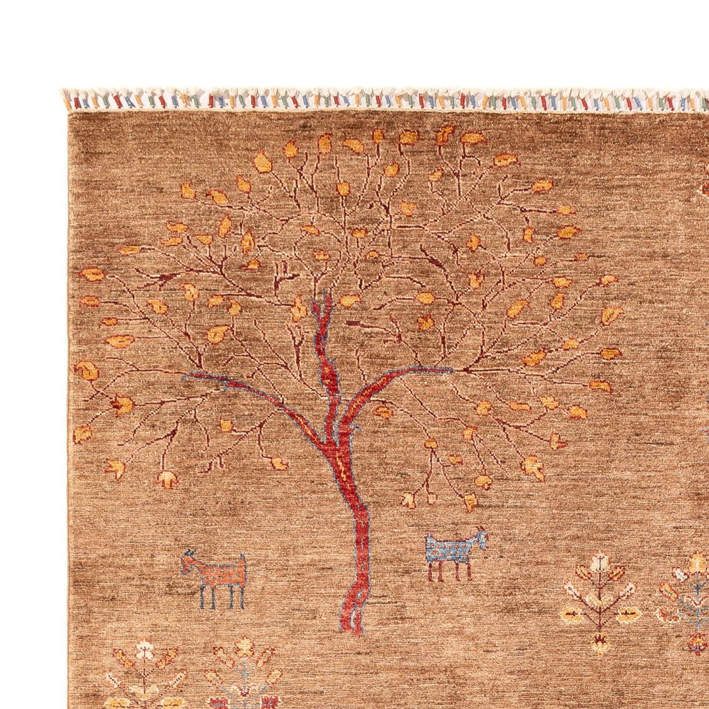 Ziegler Teppich - Ariana - 298 x 206 cm - dunkelbeige