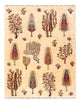 Ariana Tapete 170x218cm - Tapete Oriental