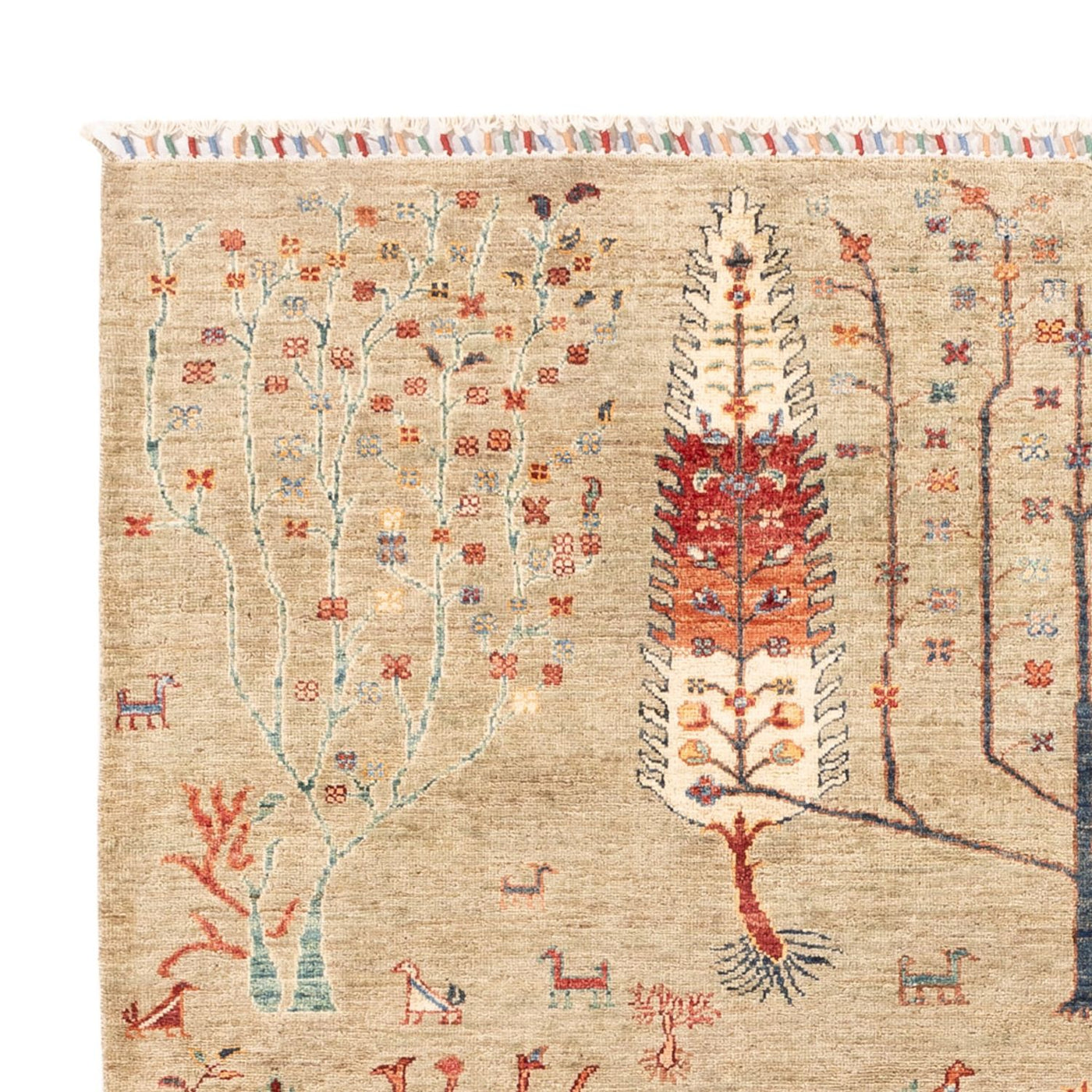 Ariana Tapete 235x172cm - Tapete Oriental