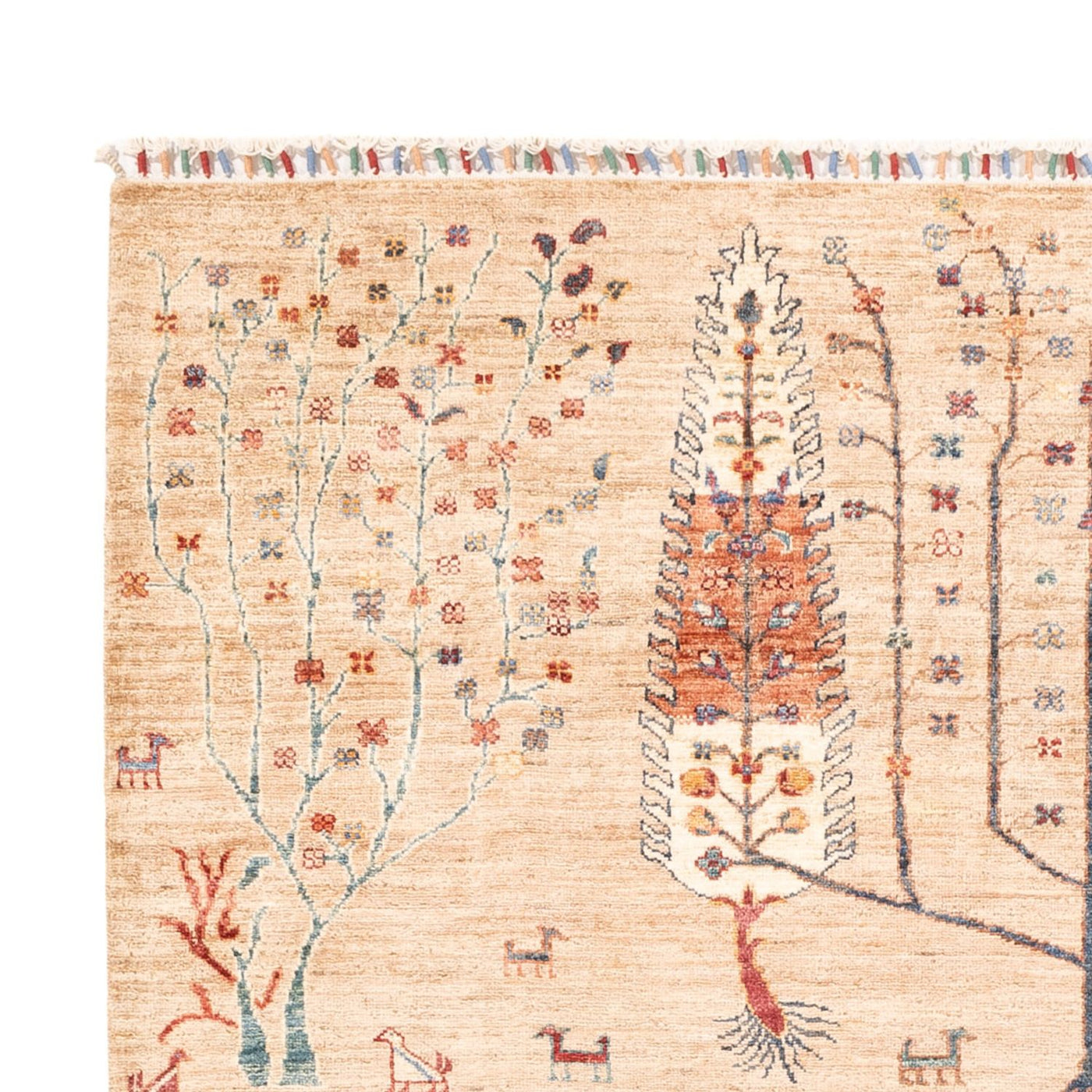 Ariana Tapete 230x170cm - Tapete Oriental
