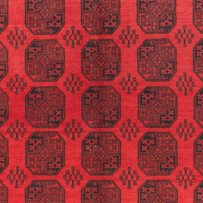 Akhche Tapete 295x384cm - Tapete Oriental