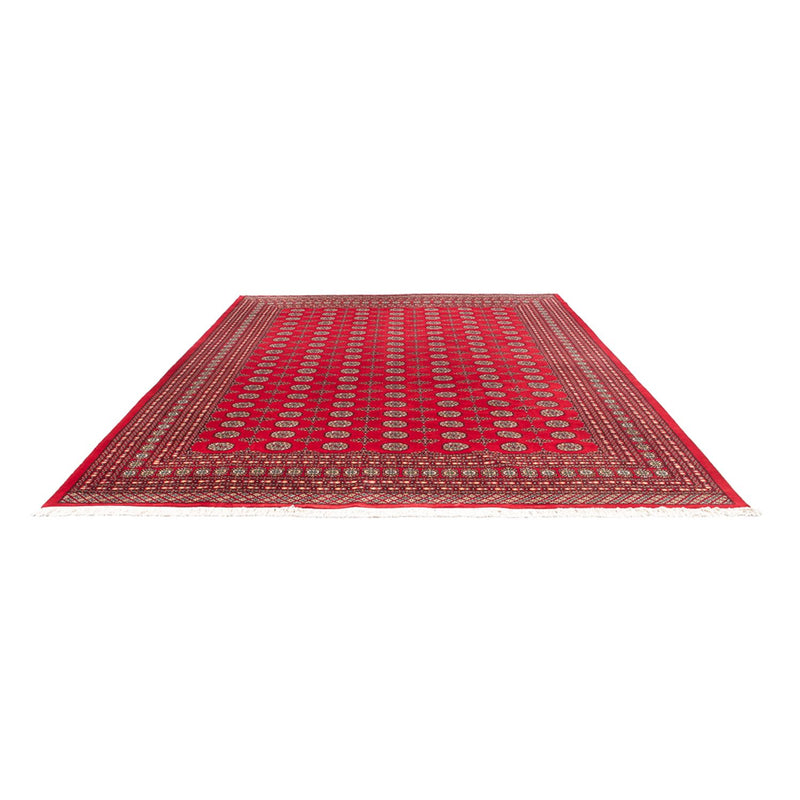 Bukhara Tapete 401x311cm - Tapete Oriental