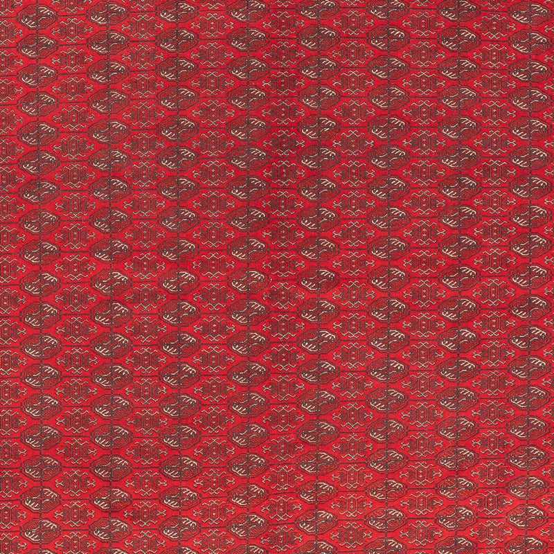 Tapete afegão 400x305cm - Tapete Oriental