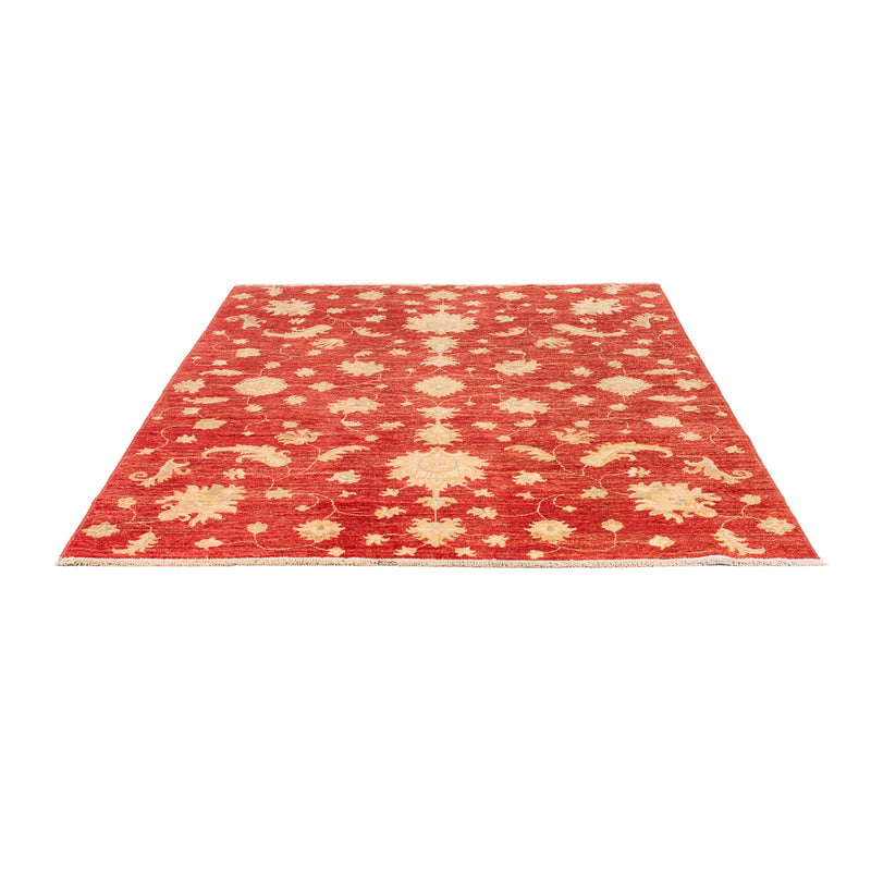 Ziegler moderno Tapete 206x154cm - Tapete Oriental