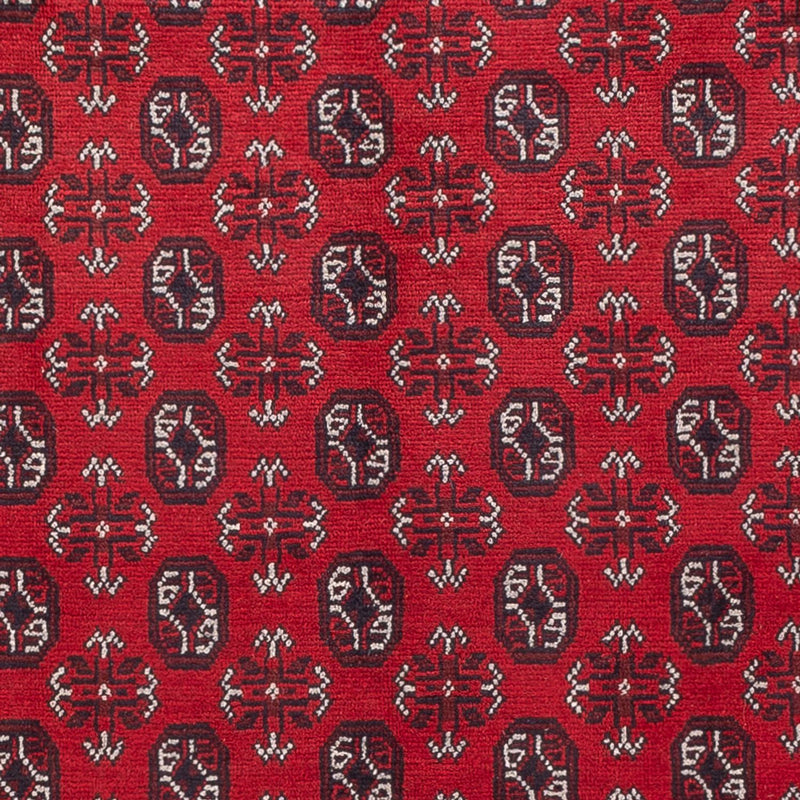 Akhche Tapete 302x245cm - Tapete Oriental