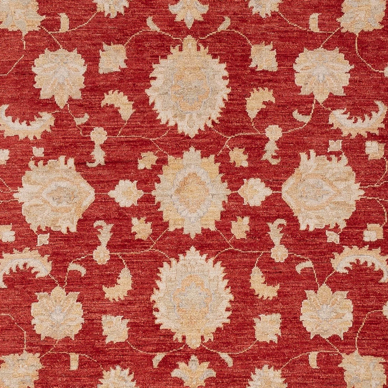Tapete Ziegler 303x250cm - Tapete Oriental