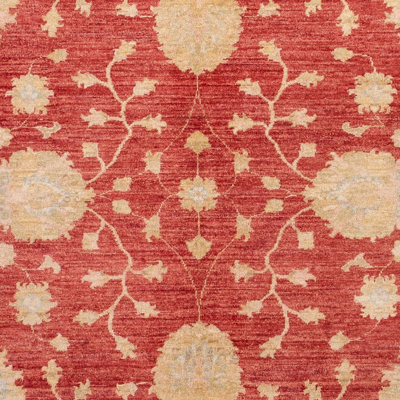 Tapete Ziegler 291x207cm - Tapete Oriental