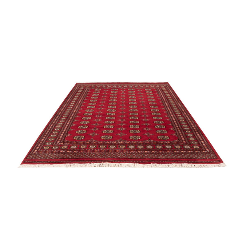 Bukhara Tapete 292x206cm - Tapete Oriental