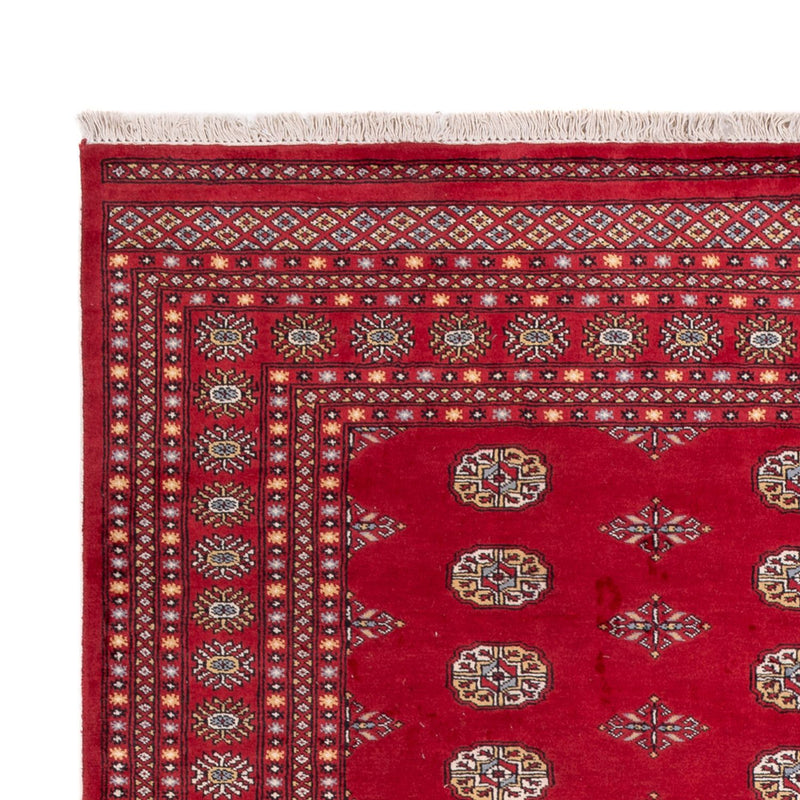Bukhara Tapete 307x201cm - Tapete Oriental