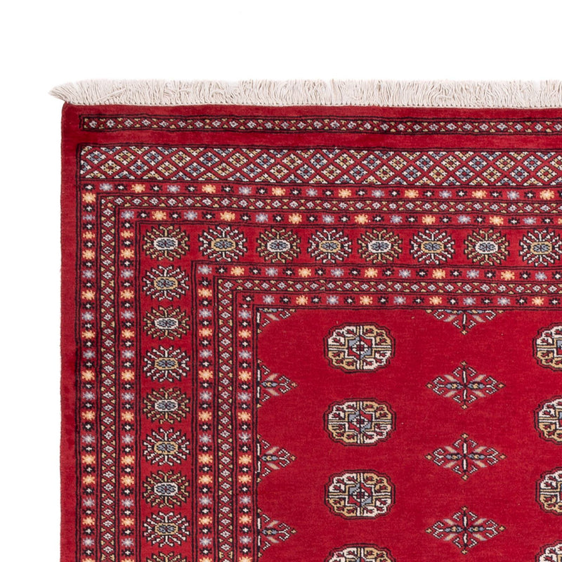 Bukhara Tapete 304x206cm - Tapete Oriental