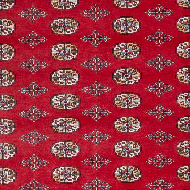 Bukhara Tapete 313x207cm - Tapete Oriental