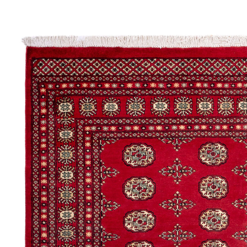 Bukhara Tapete 318x210cm - Tapete Oriental
