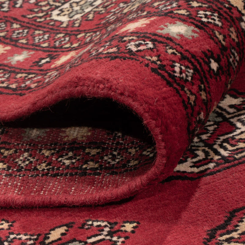 Bukhara Tapete 318x210cm - Tapete Oriental