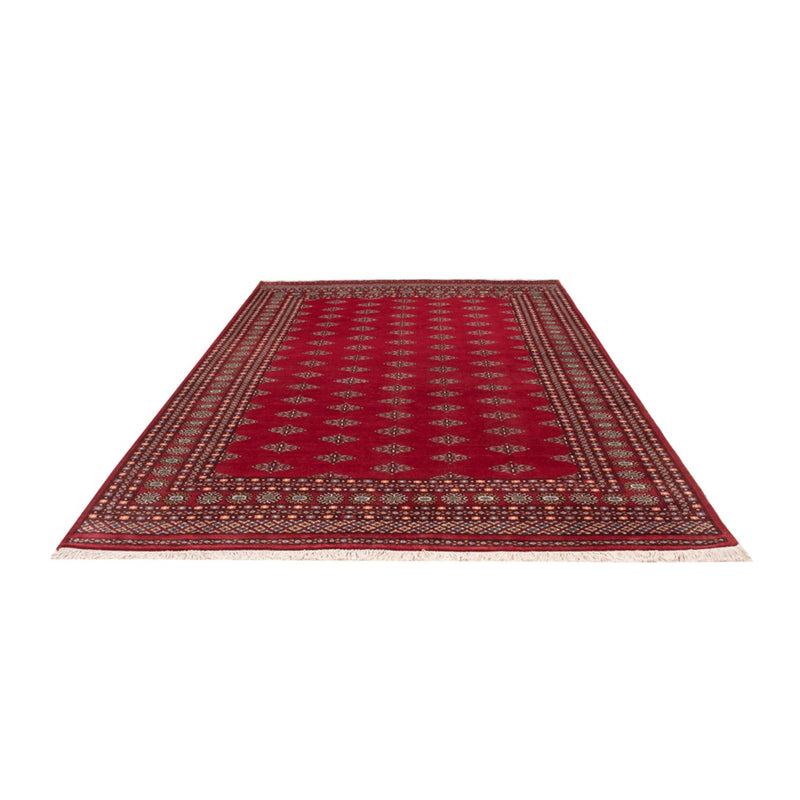 Bukhara Tapete 317x204cm - Tapete Oriental